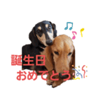 うちのコロぴぃ（個別スタンプ：23）