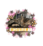 ゼラ＆サナ（個別スタンプ：6）