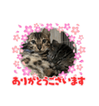 ゼラ＆サナ（個別スタンプ：9）
