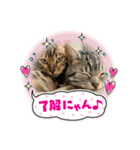 ゼラ＆サナ（個別スタンプ：10）