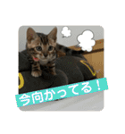 ゼラ＆サナ（個別スタンプ：18）