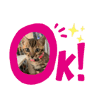ゼラ＆サナ（個別スタンプ：31）