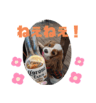 キャバリアおひめ（個別スタンプ：20）
