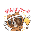 キャバリアおひめ（個別スタンプ：24）