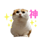 スコ・マンチのイート君⭐︎（個別スタンプ：1）