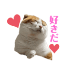 スコ・マンチのイート君⭐︎（個別スタンプ：4）