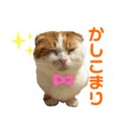 スコ・マンチのイート君⭐︎（個別スタンプ：7）
