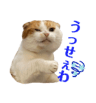 スコ・マンチのイート君⭐︎（個別スタンプ：8）
