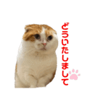 スコ・マンチのイート君⭐︎（個別スタンプ：10）