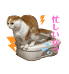 スコ・マンチのイート君⭐︎（個別スタンプ：13）