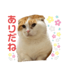 スコ・マンチのイート君⭐︎（個別スタンプ：14）