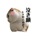 スコ・マンチのイート君⭐︎（個別スタンプ：18）