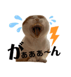 スコ・マンチのイート君⭐︎（個別スタンプ：24）