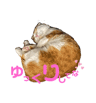 スコ・マンチのイート君⭐︎（個別スタンプ：25）