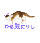 スコ・マンチのイート君⭐︎（個別スタンプ：28）