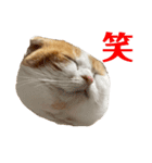 スコ・マンチのイート君⭐︎（個別スタンプ：30）
