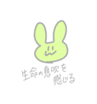 色とりどりのうさぎたち（個別スタンプ：18）