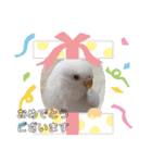 しらたまちゃんありがとう＼(^o^)／（個別スタンプ：6）