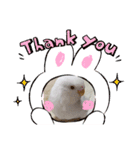 しらたまちゃんありがとう＼(^o^)／（個別スタンプ：7）