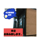 そば居酒屋[純平]（個別スタンプ：37）