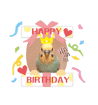 ピピ達（インコ）との生活♡（個別スタンプ：11）