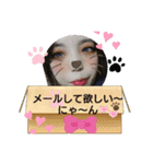 MiMi☆2バージョン（個別スタンプ：5）