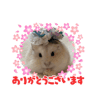 ほっこりハムスターのふくたん＆ふじたん♡（個別スタンプ：1）