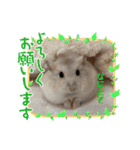 ほっこりハムスターのふくたん＆ふじたん♡（個別スタンプ：4）