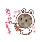 ほっこりハムスターのふくたん＆ふじたん♡（個別スタンプ：6）