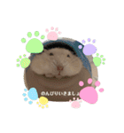 ほっこりハムスターのふくたん＆ふじたん♡（個別スタンプ：8）
