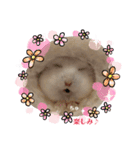 ほっこりハムスターのふくたん＆ふじたん♡（個別スタンプ：10）