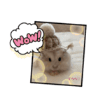 ほっこりハムスターのふくたん＆ふじたん♡（個別スタンプ：13）