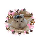 ほっこりハムスターのふくたん＆ふじたん♡（個別スタンプ：14）
