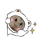 ほっこりハムスターのふくたん＆ふじたん♡（個別スタンプ：16）