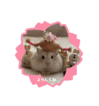 ほっこりハムスターのふくたん＆ふじたん♡（個別スタンプ：20）