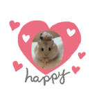 ほっこりハムスターのふくたん＆ふじたん♡（個別スタンプ：21）
