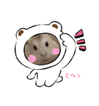 ほっこりハムスターのふくたん＆ふじたん♡（個別スタンプ：22）