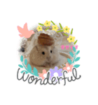 ほっこりハムスターのふくたん＆ふじたん♡（個別スタンプ：24）