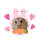ほっこりハムスターのふくたん＆ふじたん♡（個別スタンプ：25）