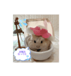 ほっこりハムスターのふくたん＆ふじたん♡（個別スタンプ：26）