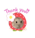 ほっこりハムスターのふくたん＆ふじたん♡（個別スタンプ：28）
