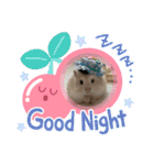 ほっこりハムスターのふくたん＆ふじたん♡（個別スタンプ：29）
