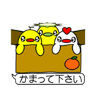 ぴよこっこシリーズ 挨拶と日常（個別スタンプ：33）