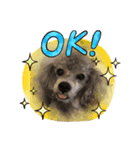 doggiessssssss（個別スタンプ：2）