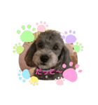 doggiessssssss（個別スタンプ：3）