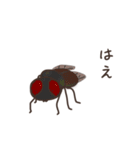 虫共。（個別スタンプ：9）