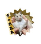 でんねもスタンプ（個別スタンプ：10）