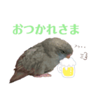 ピピ達との暮らし第2弾（個別スタンプ：2）