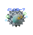 ピピ達との暮らし第2弾（個別スタンプ：7）