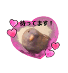 ピピ達との暮らし第2弾（個別スタンプ：8）